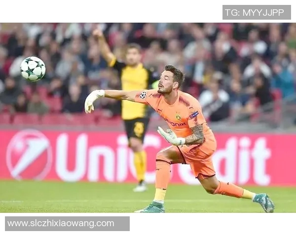 瑞士足球明星的崛起与成就揭秘及其对足球界的影响